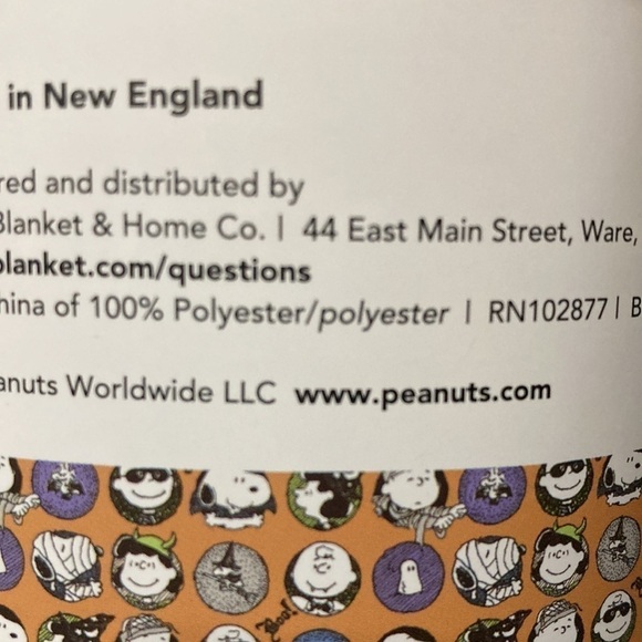 PEANUTS CHARACTERS HALLOWEEN CIRCLES  50 X 70 PLUSH THROW - Picture 9 of 11